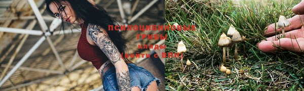 амф Володарск