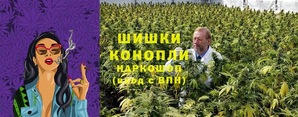амф Володарск